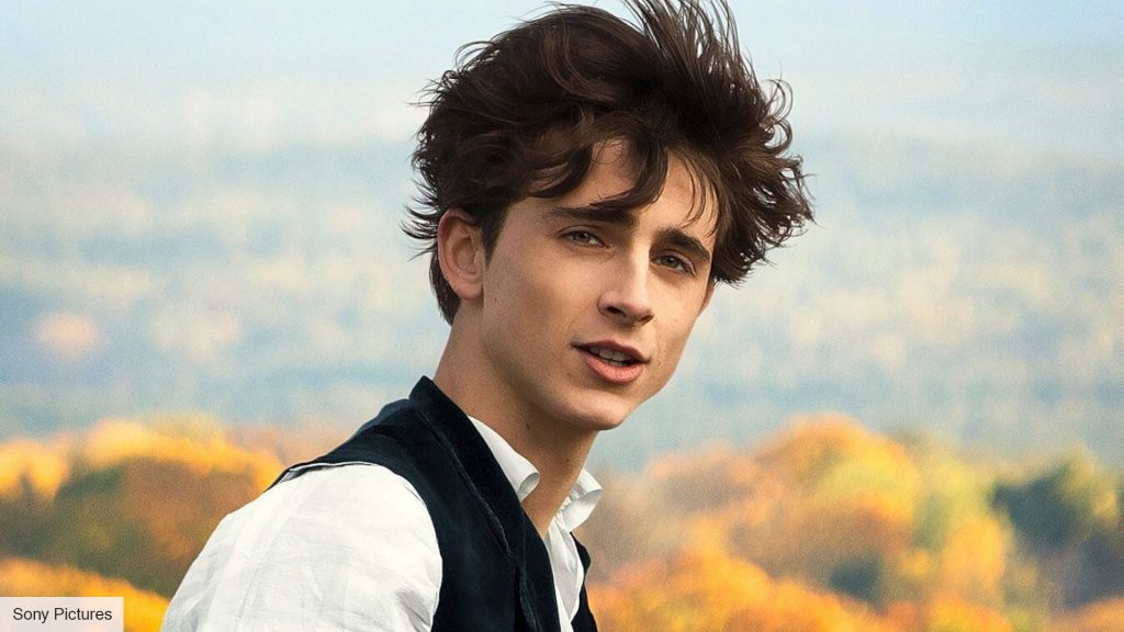 Timothée Chalamet Career