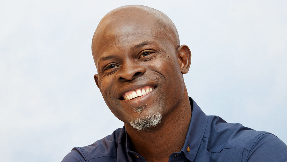 Djimon Hounsou Net Worth